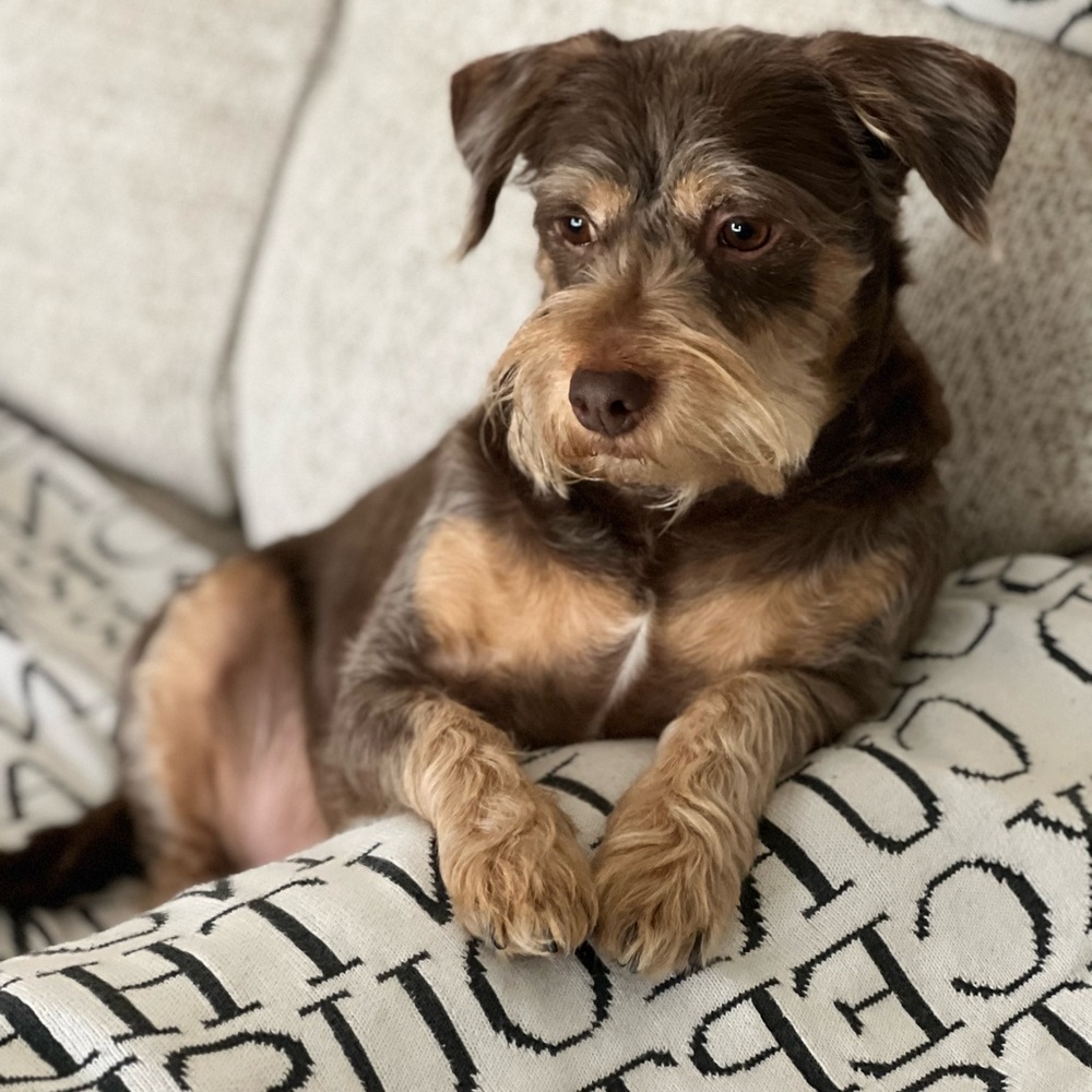 AVOCADO Is LIVE Now - So Nice to Meet You … - Picture 3 of 13